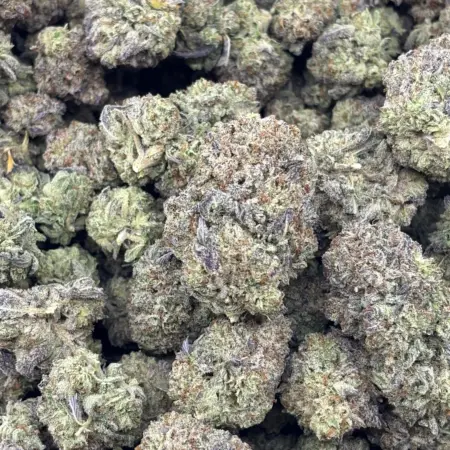 Blueberry Cake