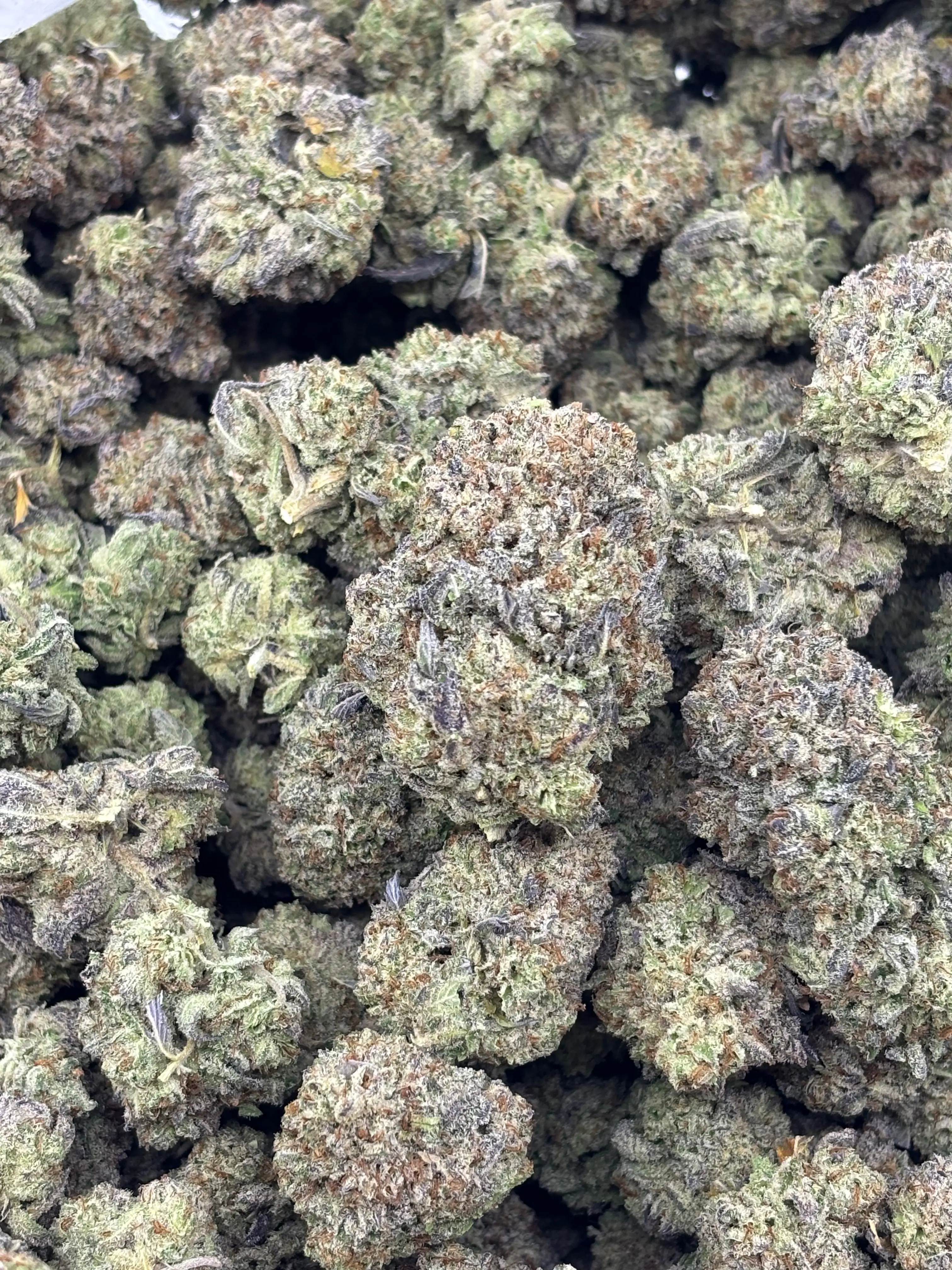 Blueberry Cake